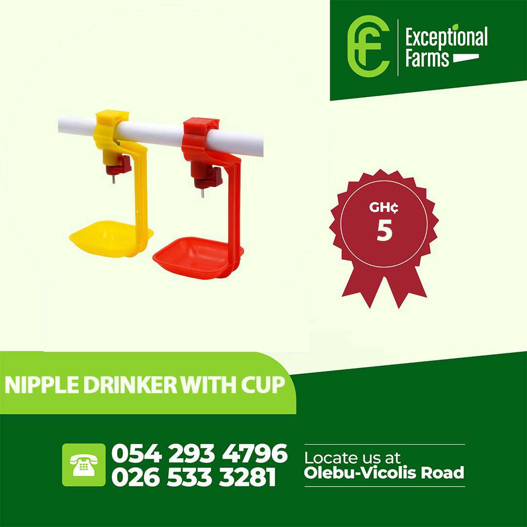 nipple drinker with cup